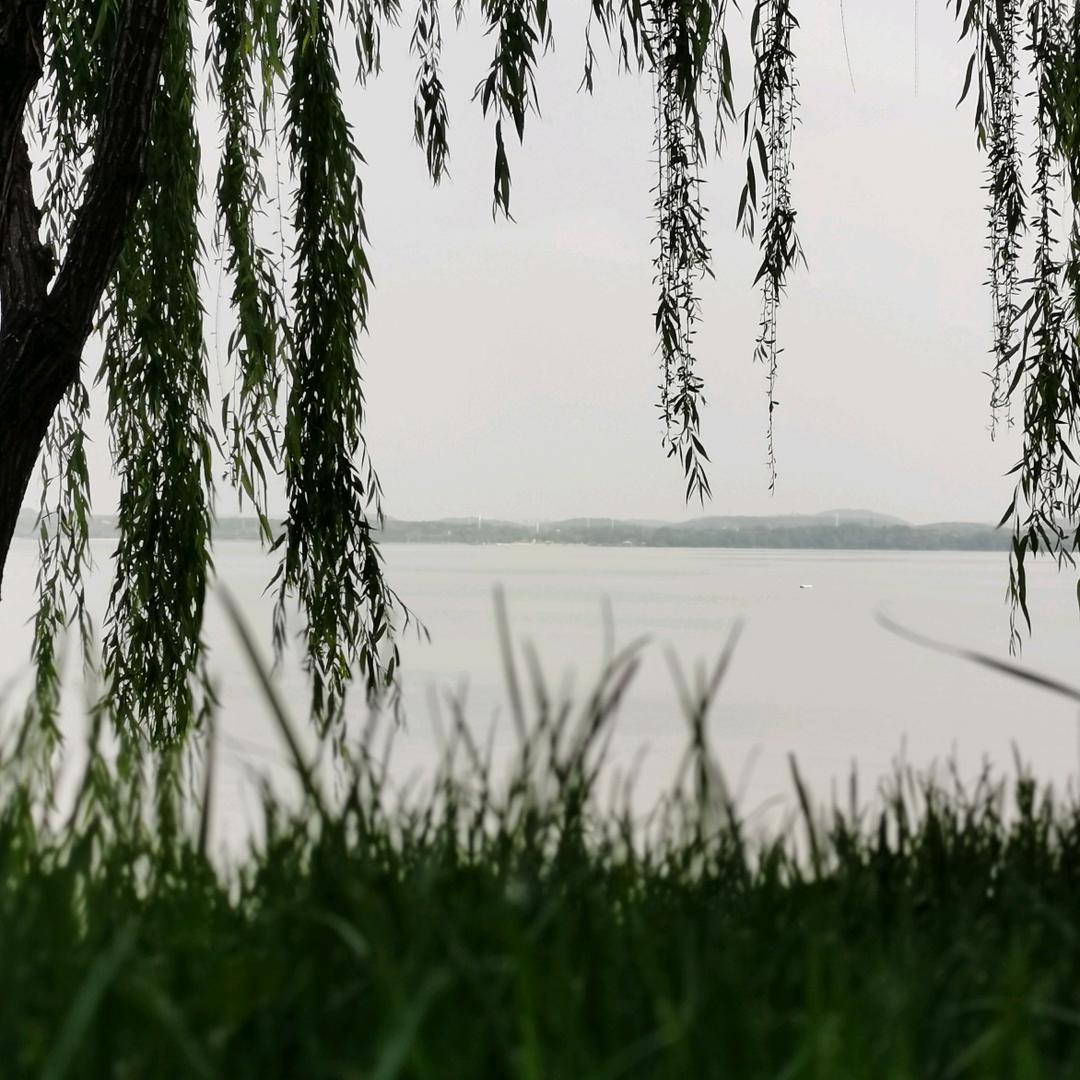 沃"克