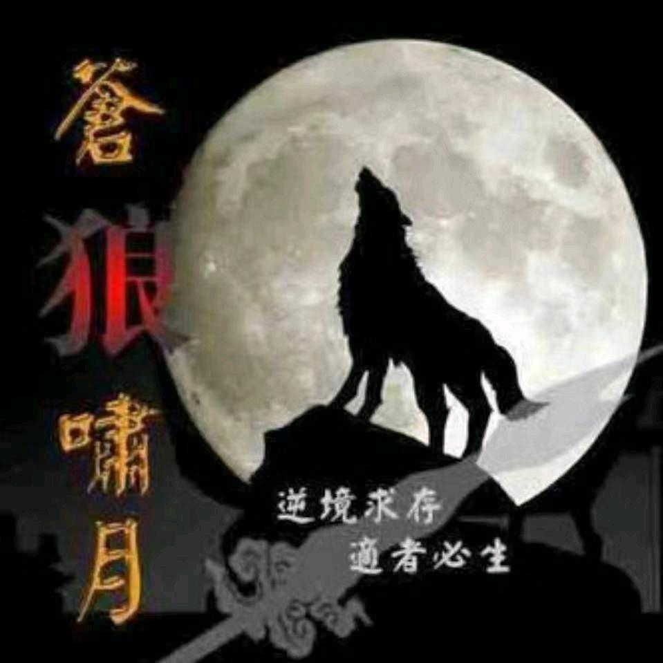 北方的狼