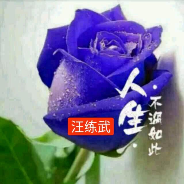 武歌