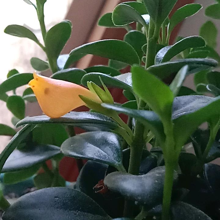 孔师傅专业水电木工，装饰