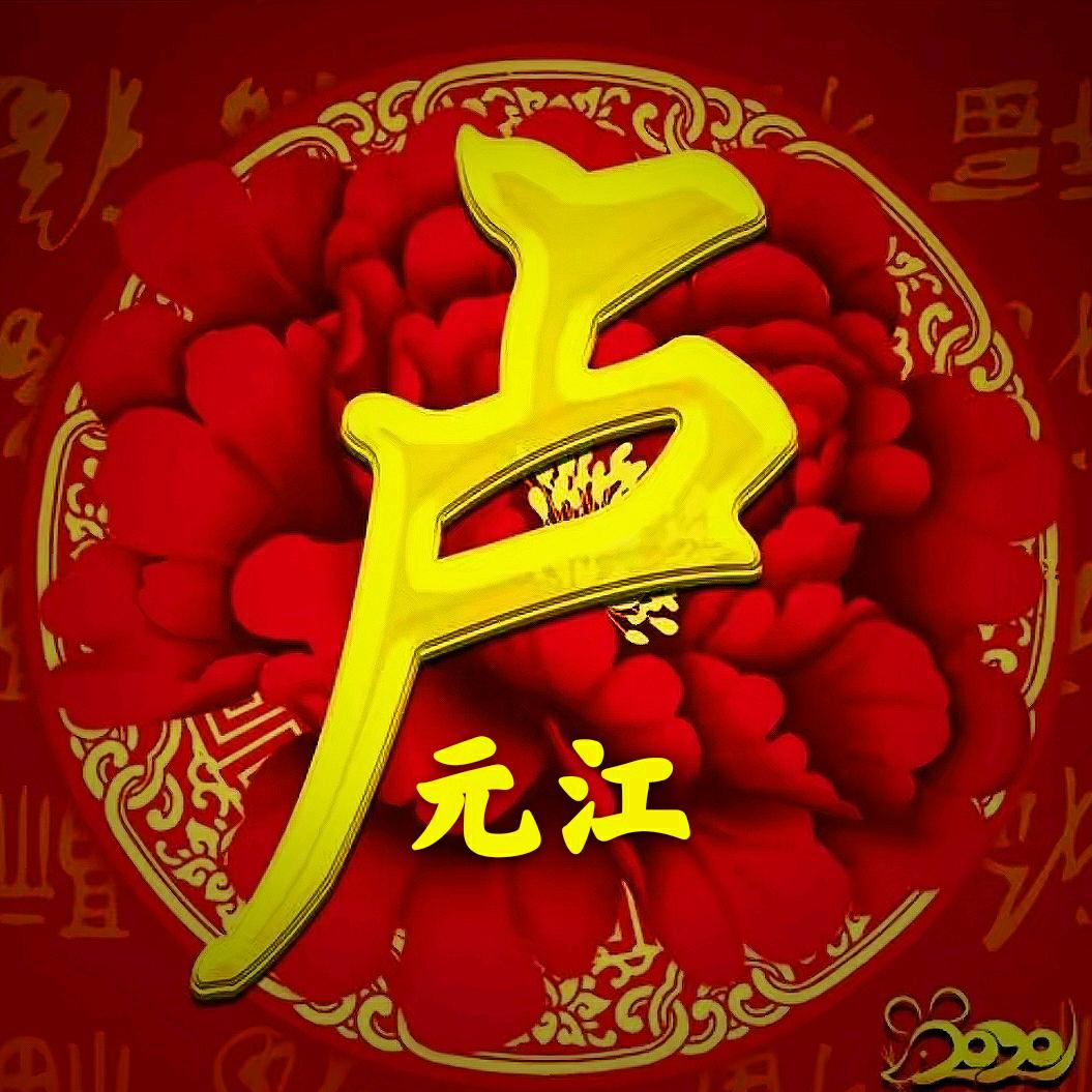 A卢元江