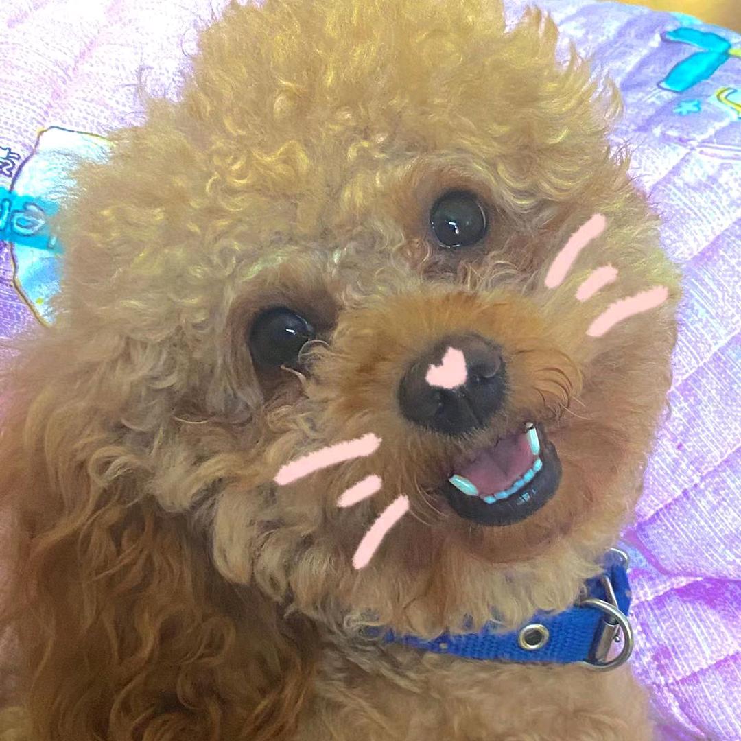恋人心
