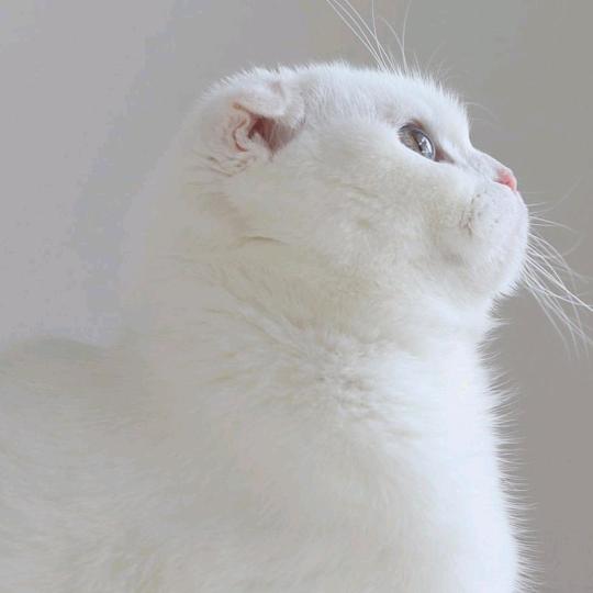 勤勤恳恳