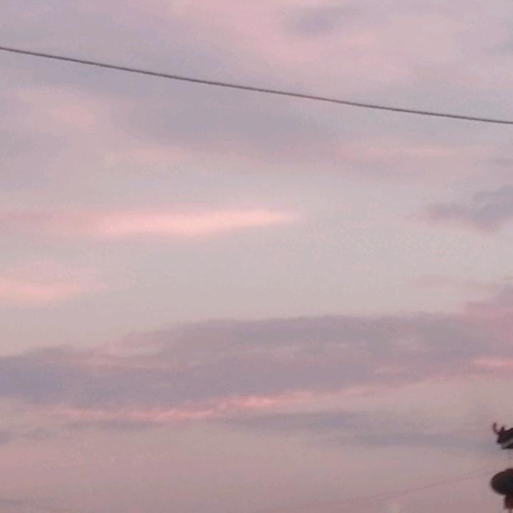 琪琪琪