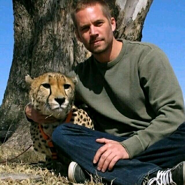 西西西             ╲