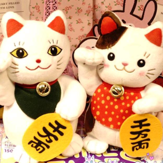 叶子叶子
