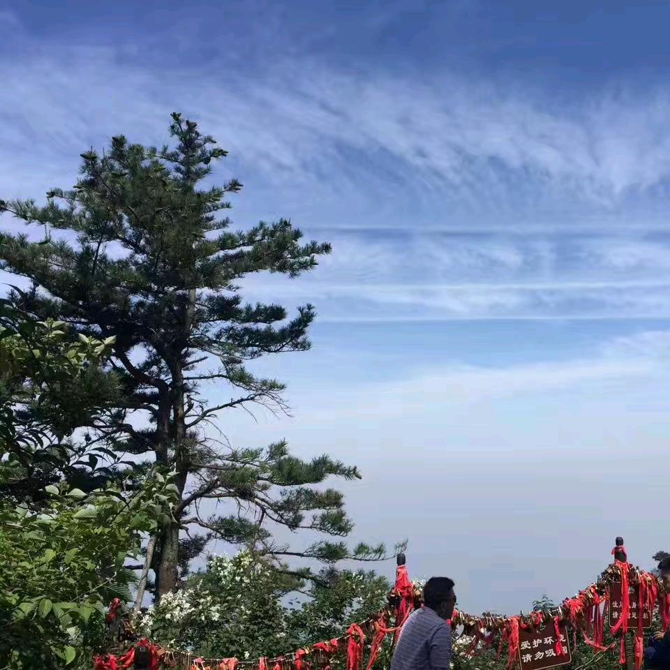 杨明吃胖了