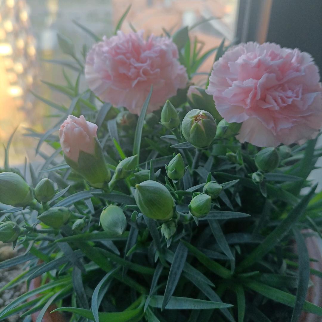 💕越徠越好💞