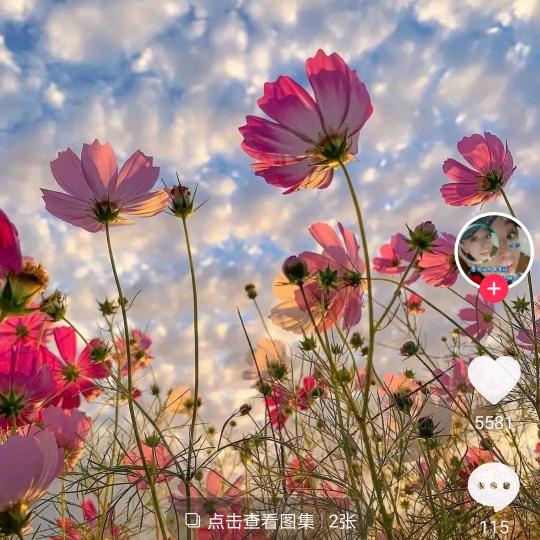 任性不解释