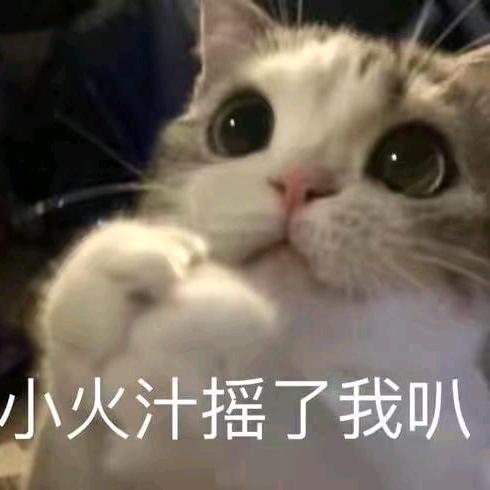 一清