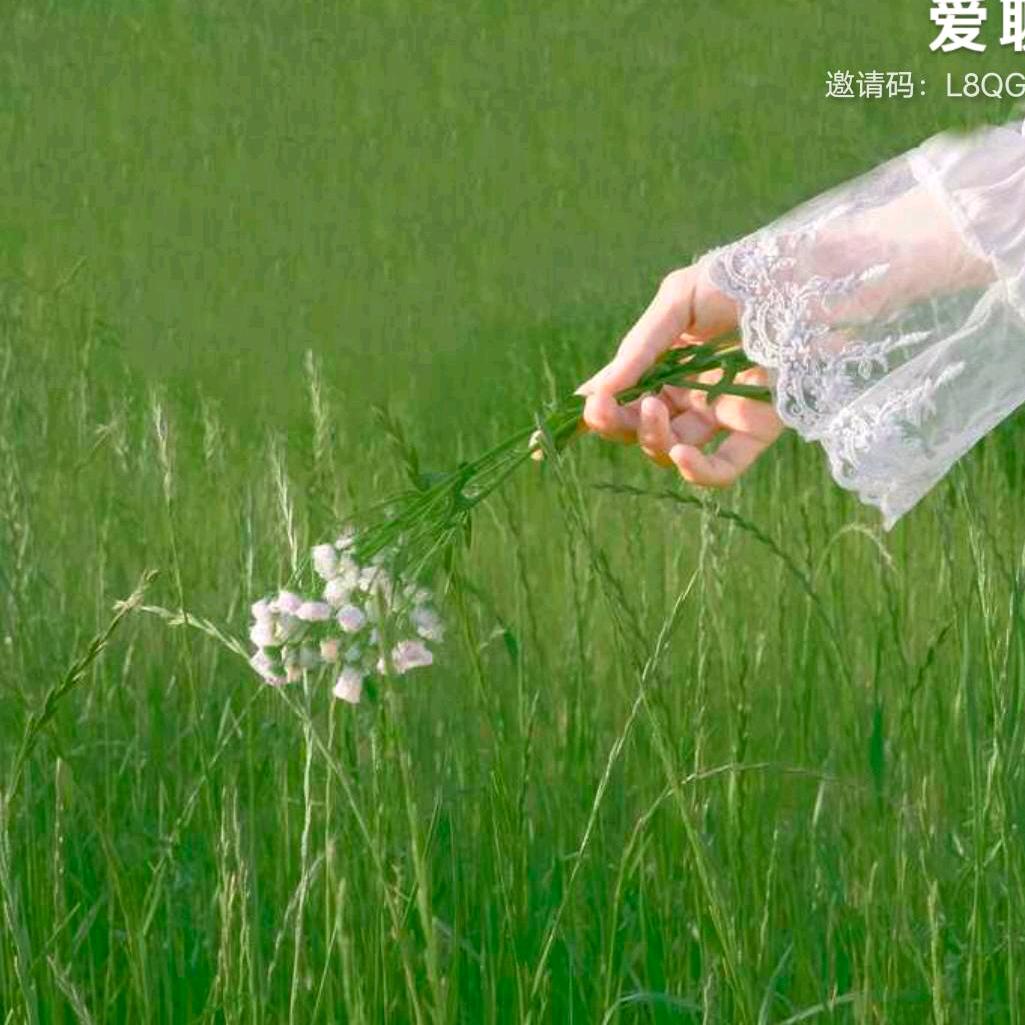 悲欢独自饮