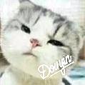 小小超梦