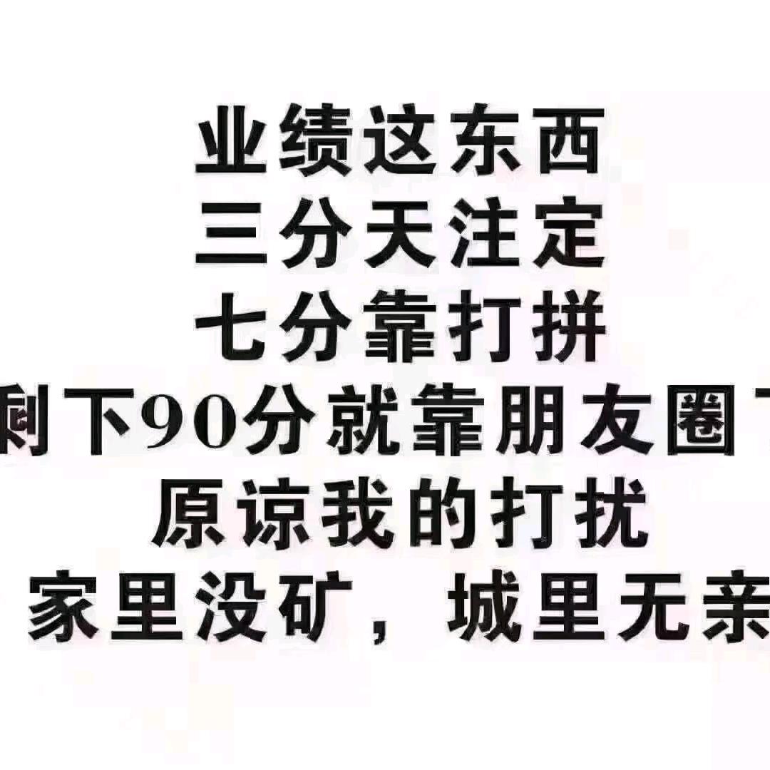 搬砖的飞哥