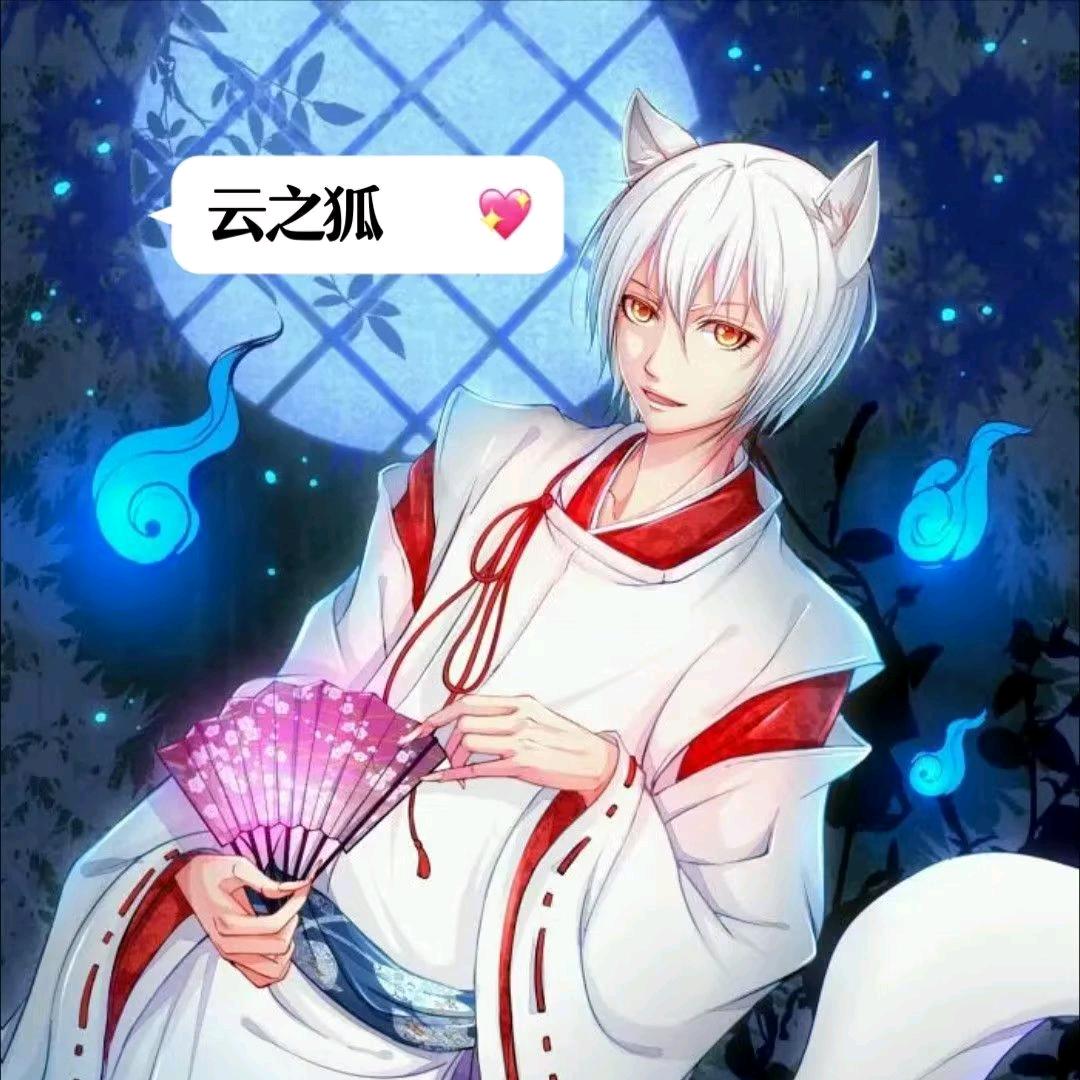 云之狐