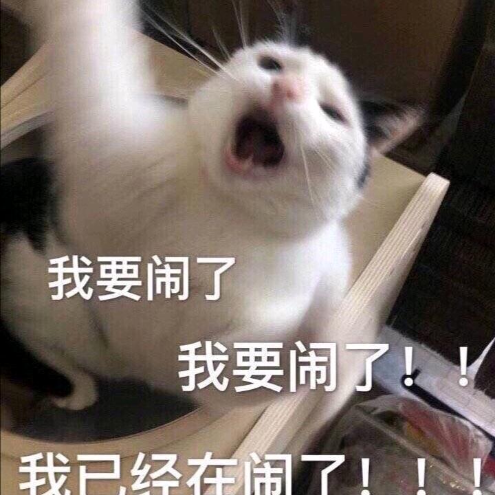 努力赚钱的小汤圆