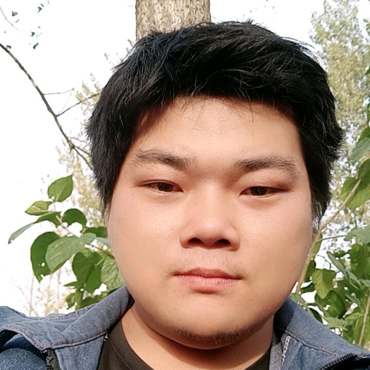 看蚂蚁上树