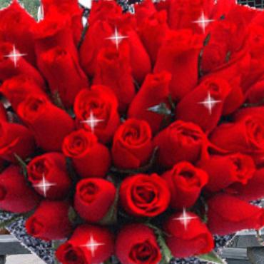 开心每一天🌹