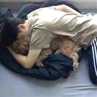 少说话就安静了