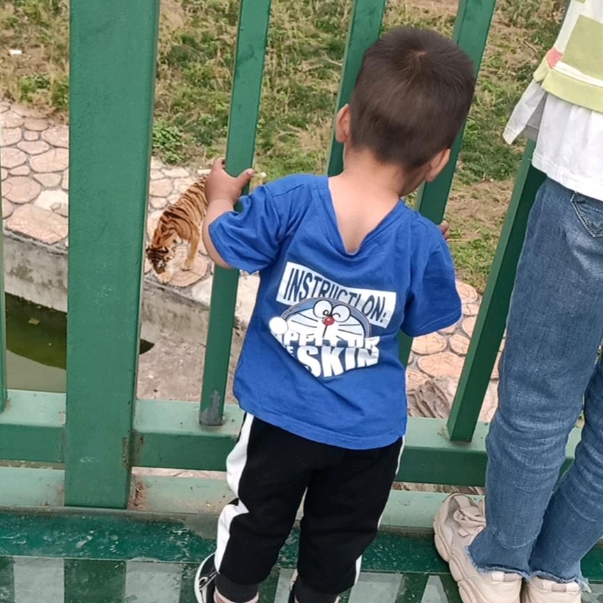 哼大宝~
