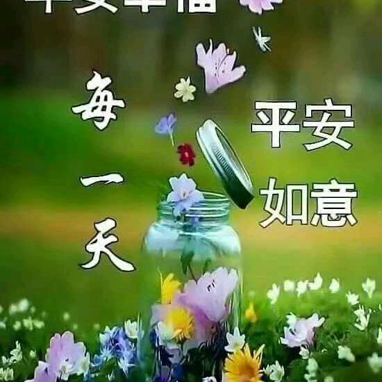 顺其自然