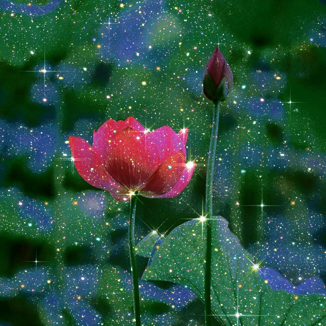天涯芳香