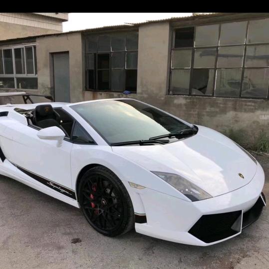 钓鱼佬的执着