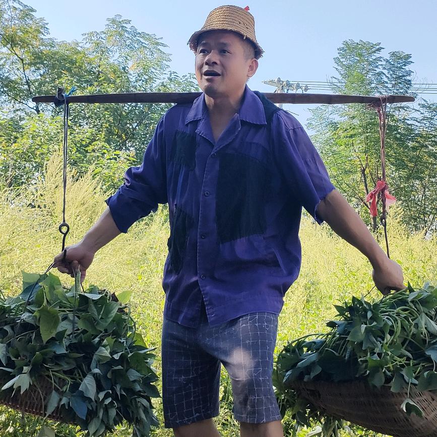 红火哥（橱窗有好物）