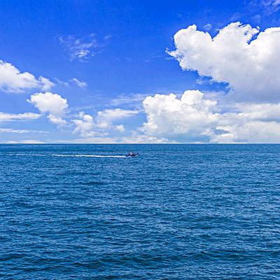 风物长宜放眼量