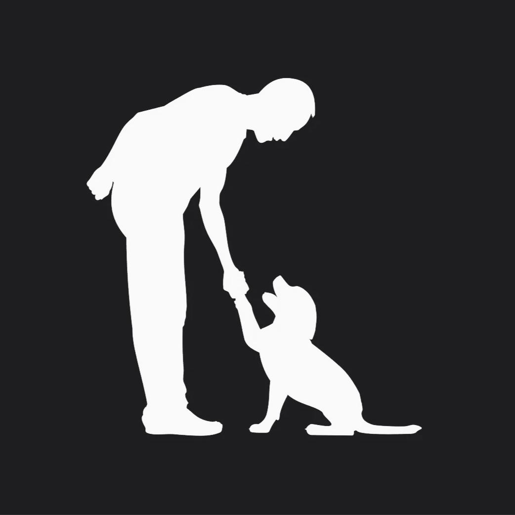 Y的训犬日记