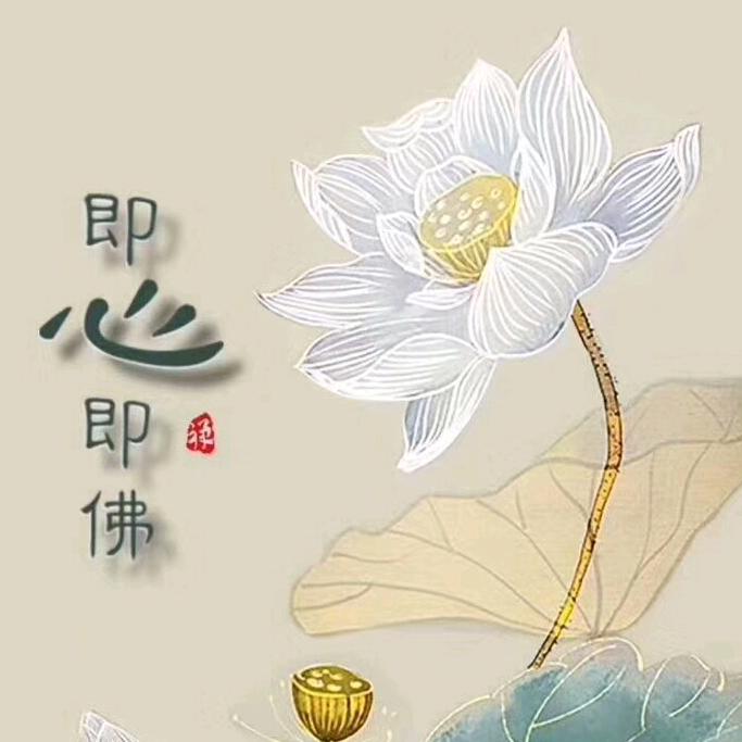 证悟