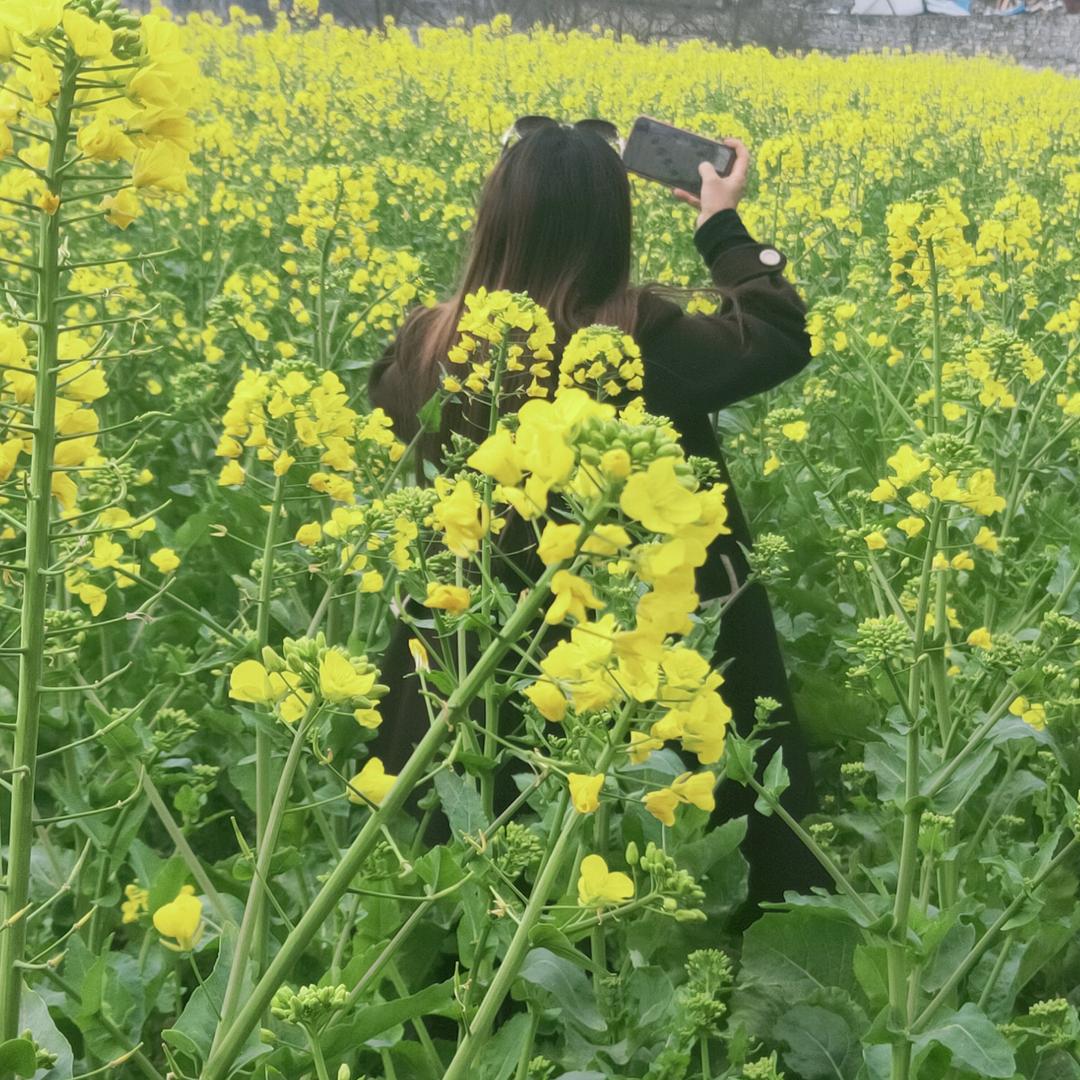 এ᭄ꦿ代ꫛ💘言꧔᭄