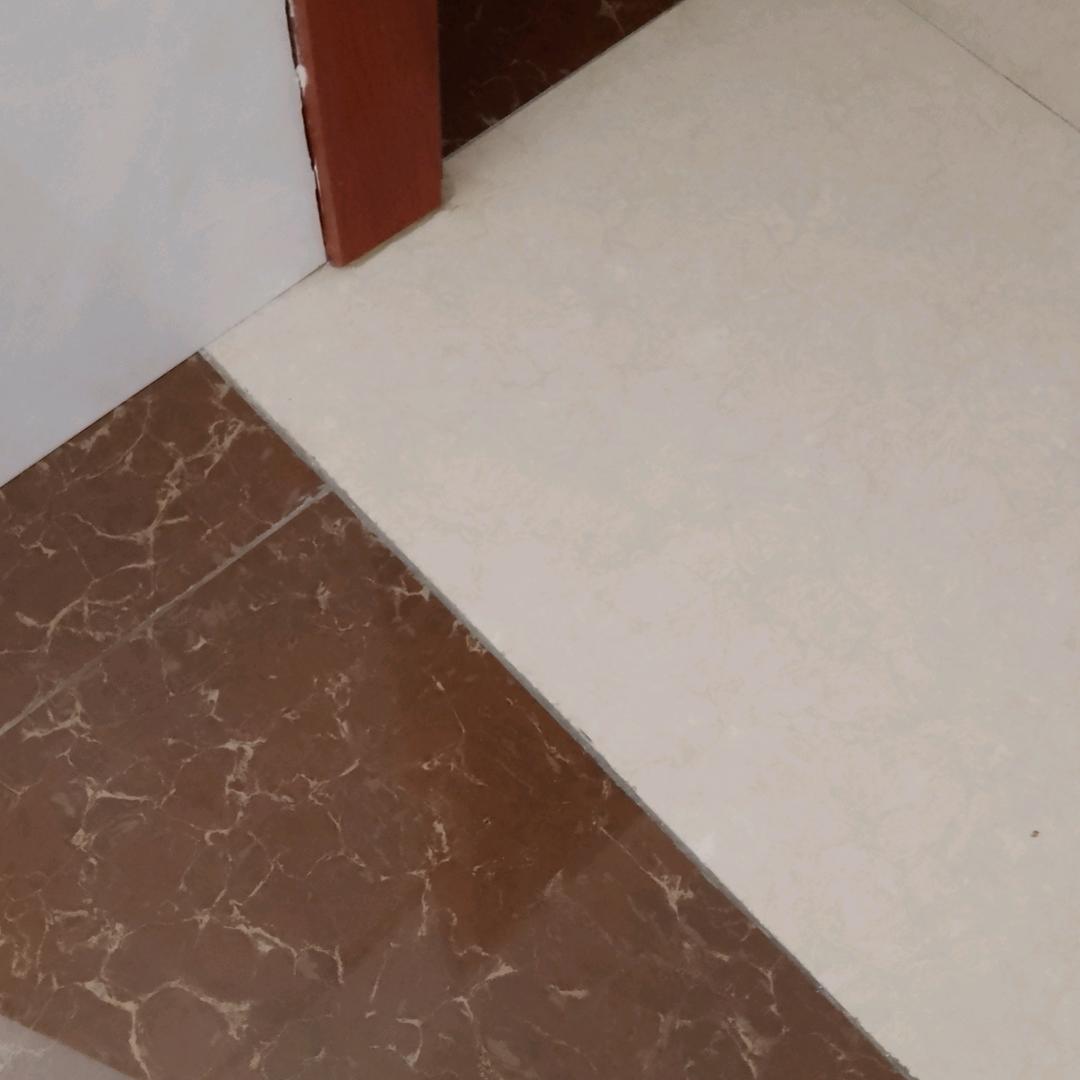 燕燕燕