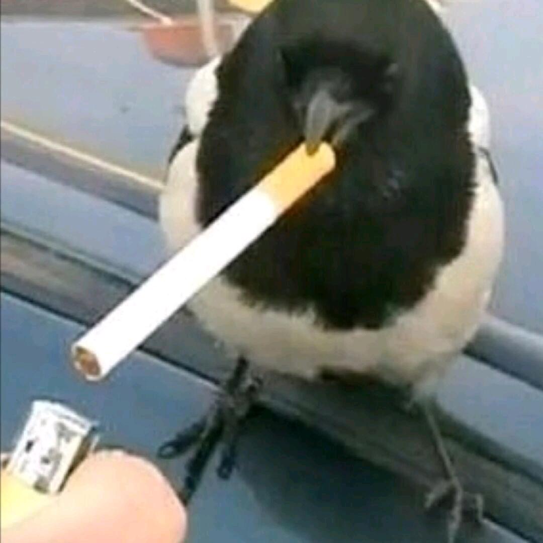 对方正在偷人