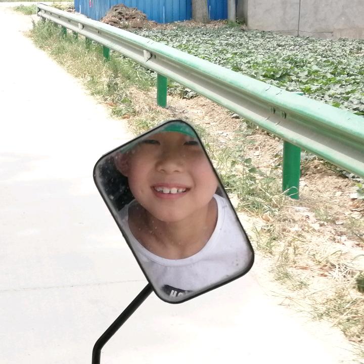 小阳哥之狒狒