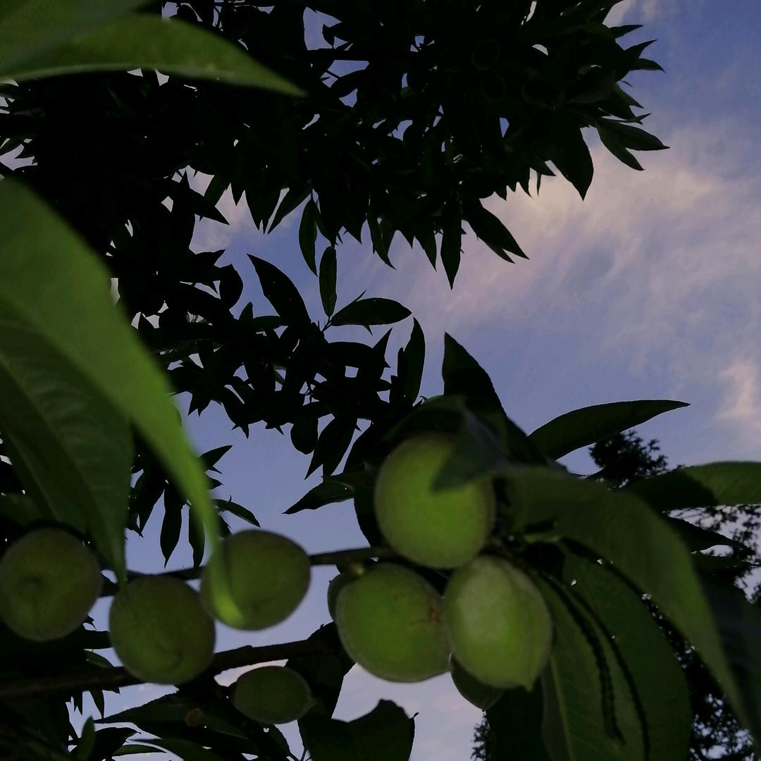 好运多来点