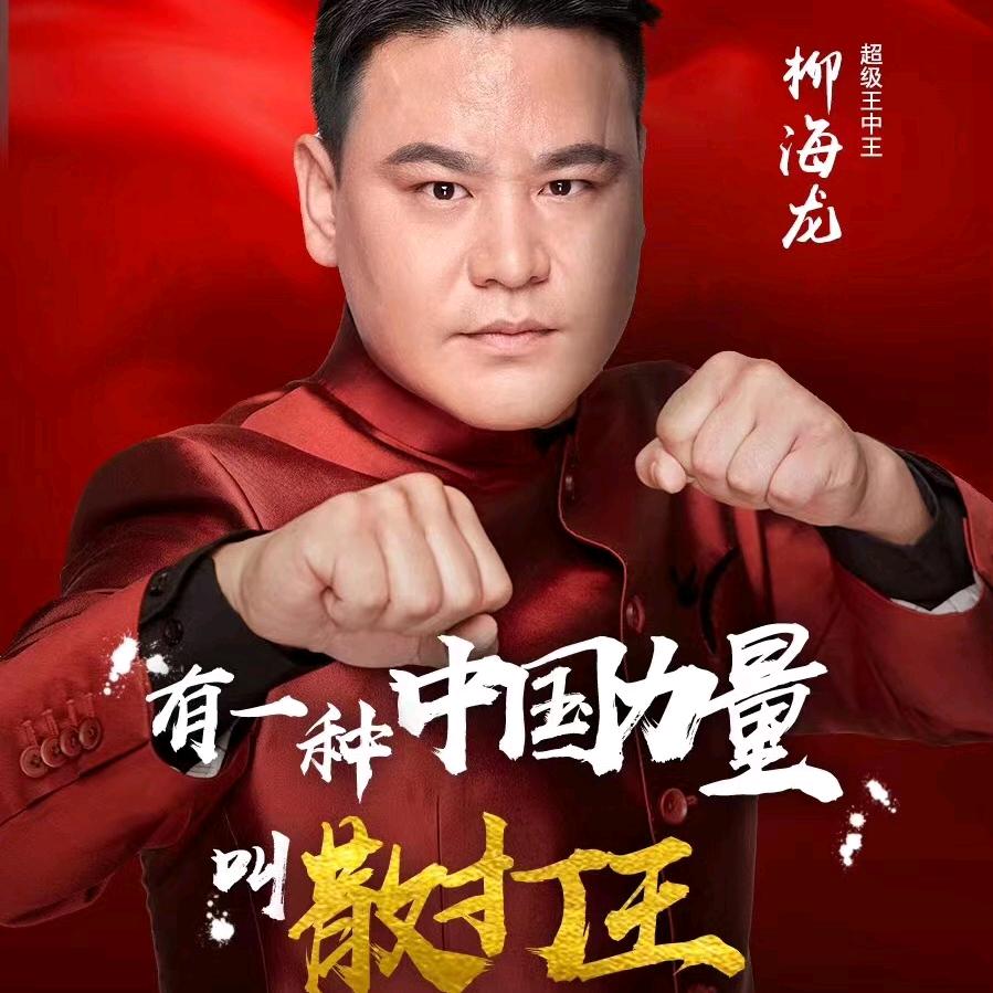 散打王柳海龙