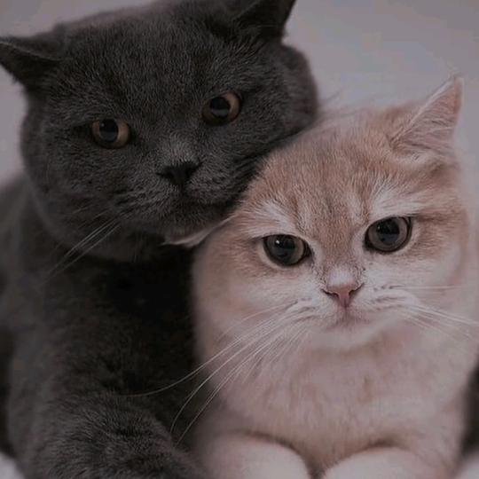 。。。。。。1