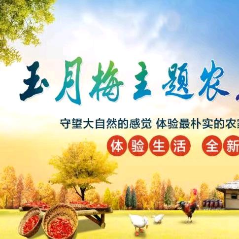 六安市金安区城北乡玉月梅主题农庄