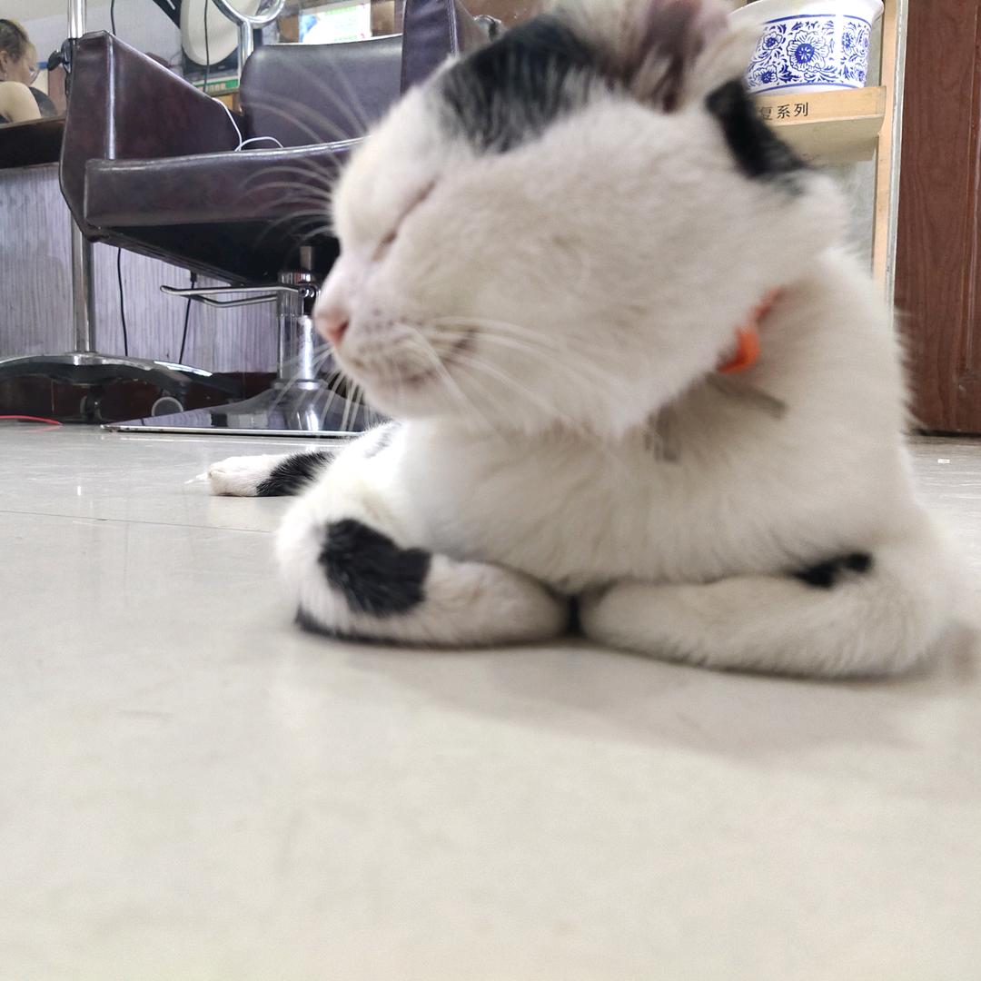 久笑♈️长情