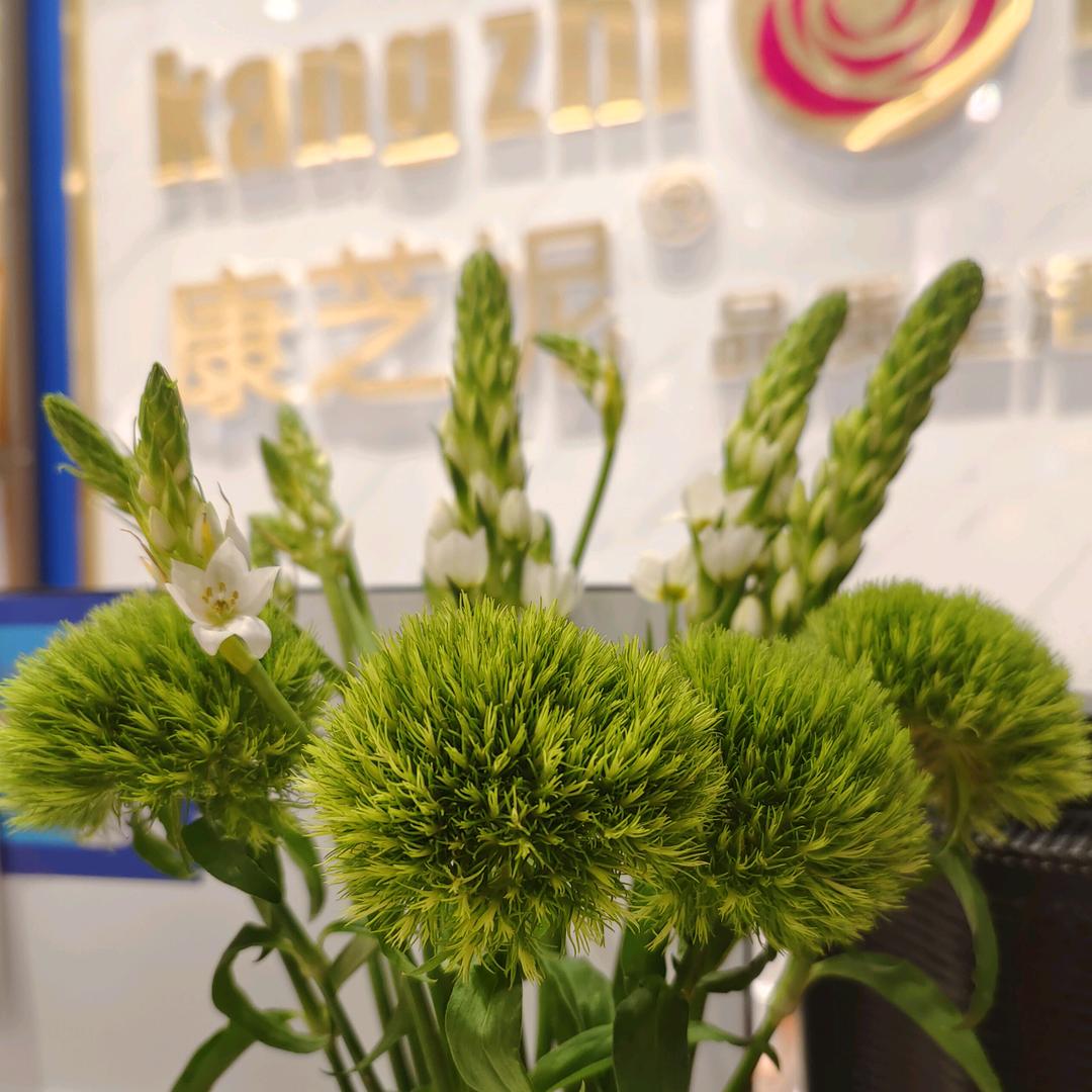 康芝妮贸易好货店