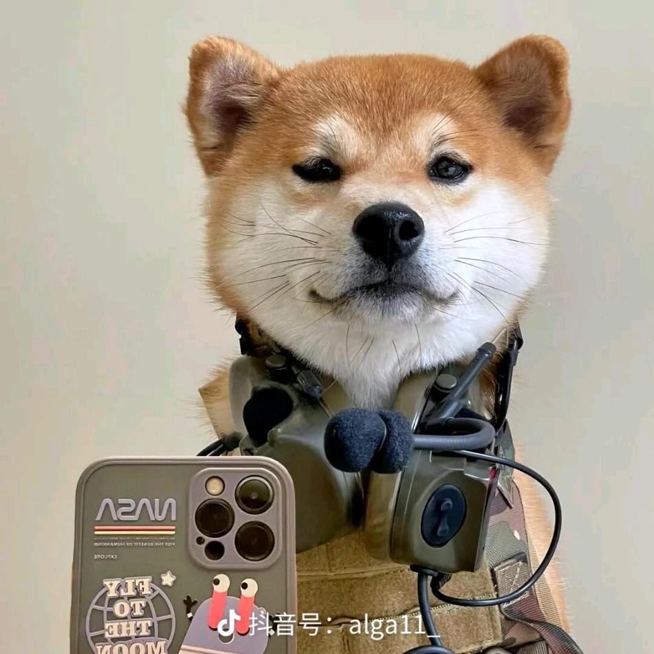 会吐泡泡的蟹老板