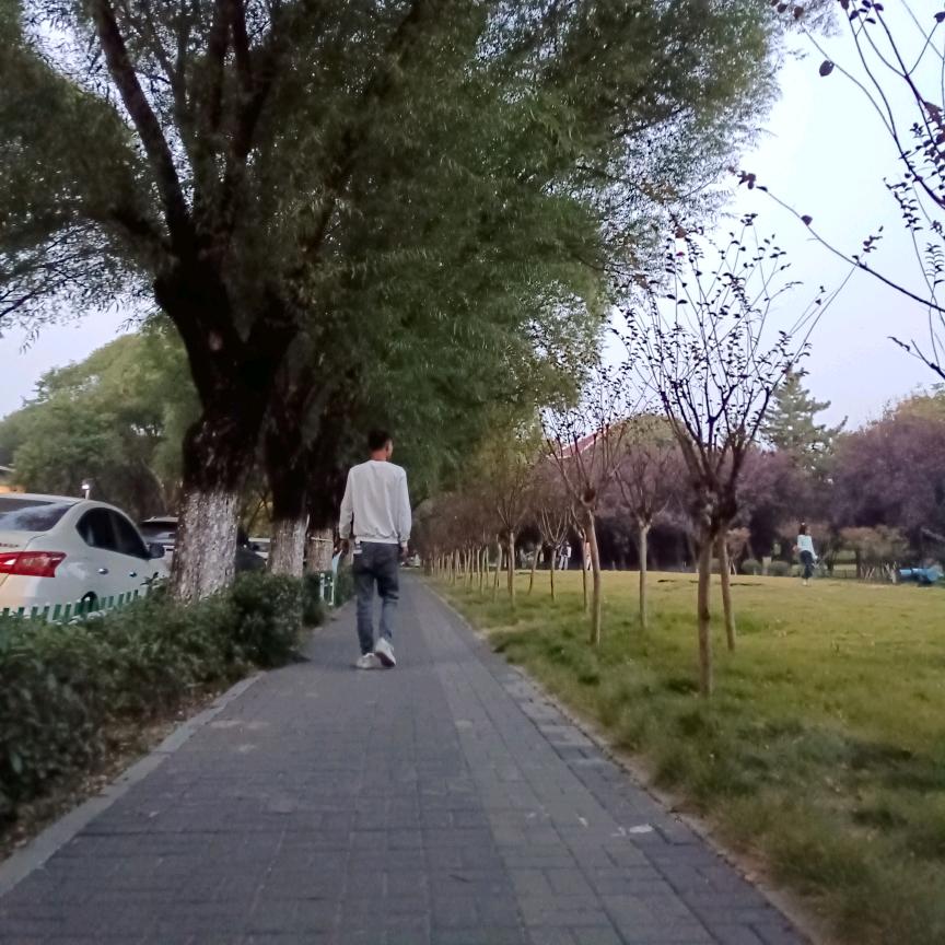 @孤狼
