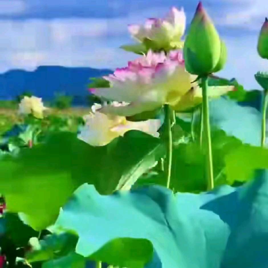 专业砸墙，切墙，门口窗口，铲瓷砖，拆柜子