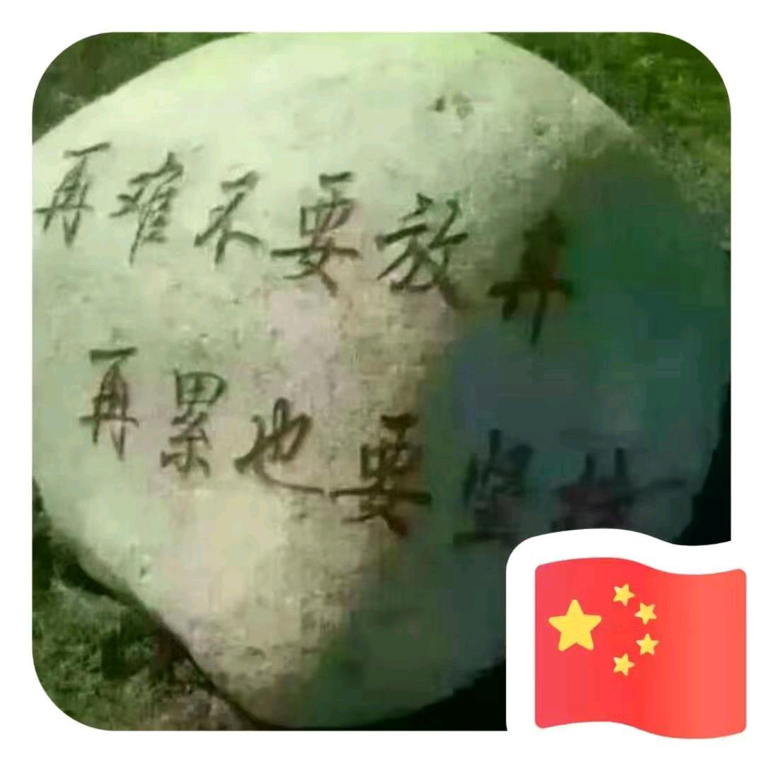 永不放弃89975912
