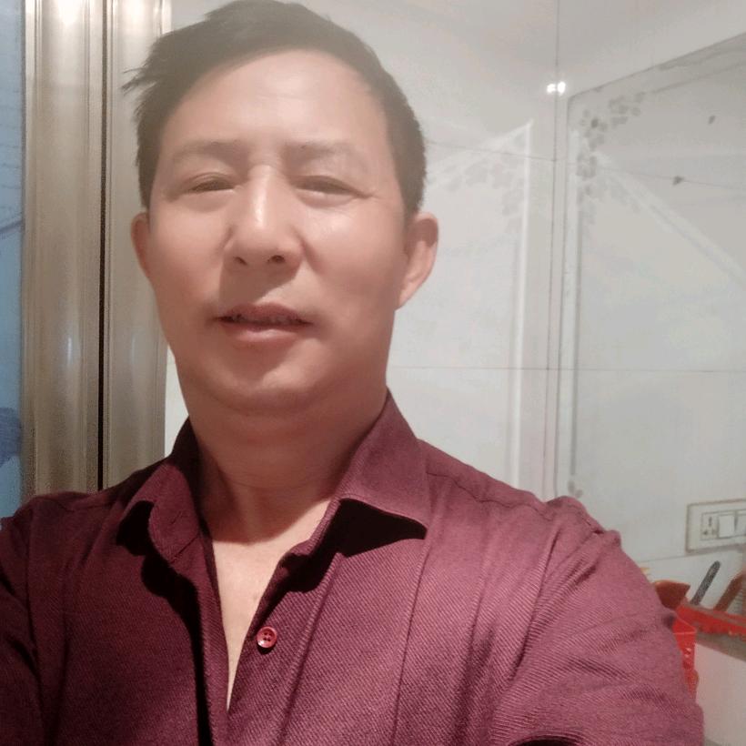 沈如华