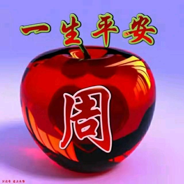 🌸🌸🌸🌸🌸🌸666666