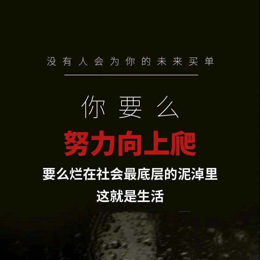 这个世界我来过