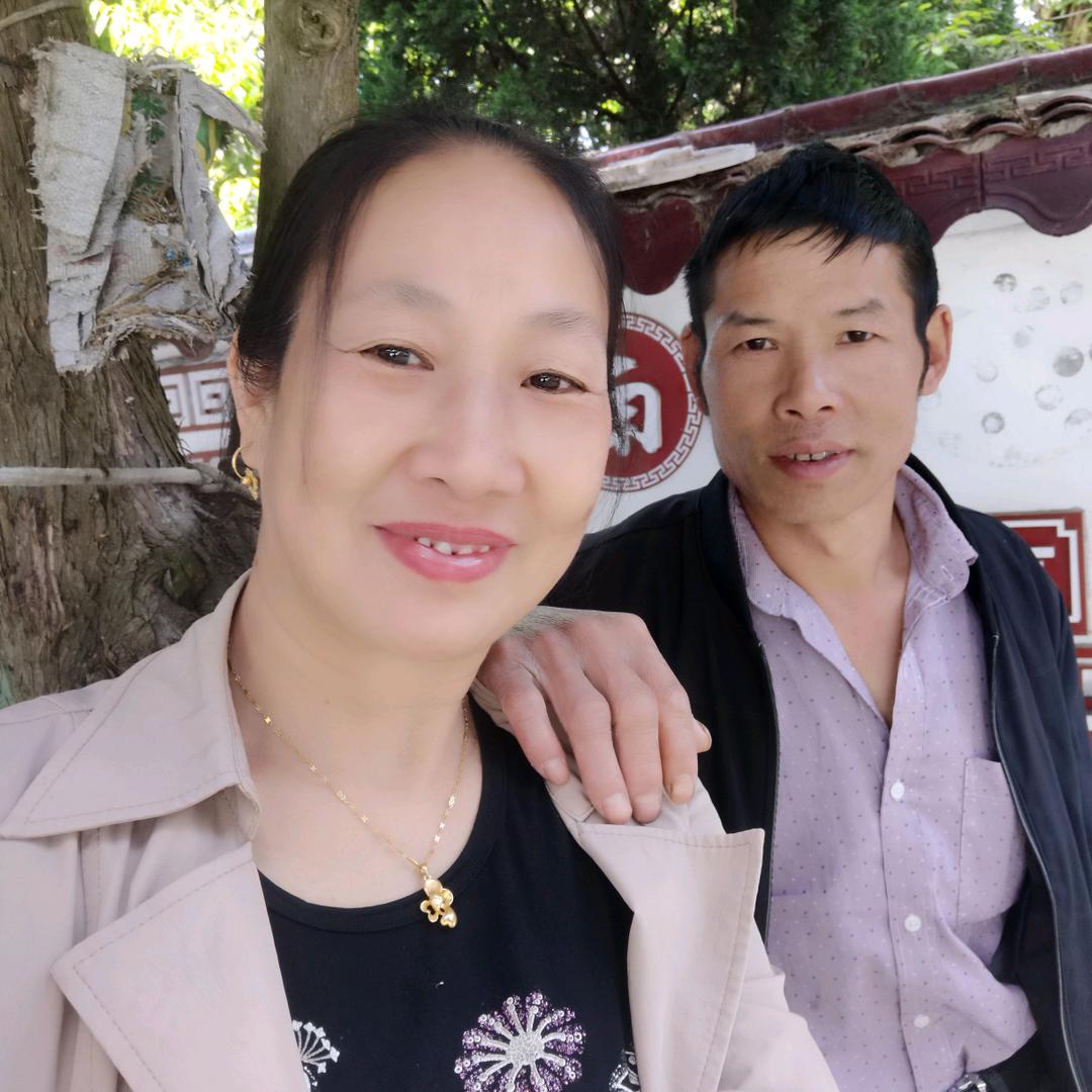 不黎不弃