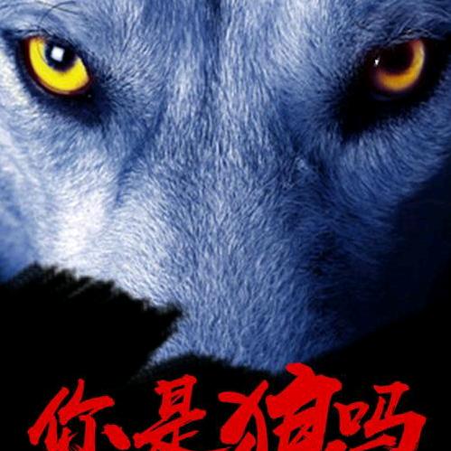 善良的狼