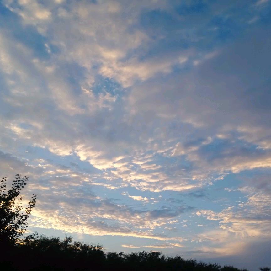 共享人生（永）